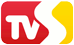 Televize TVS